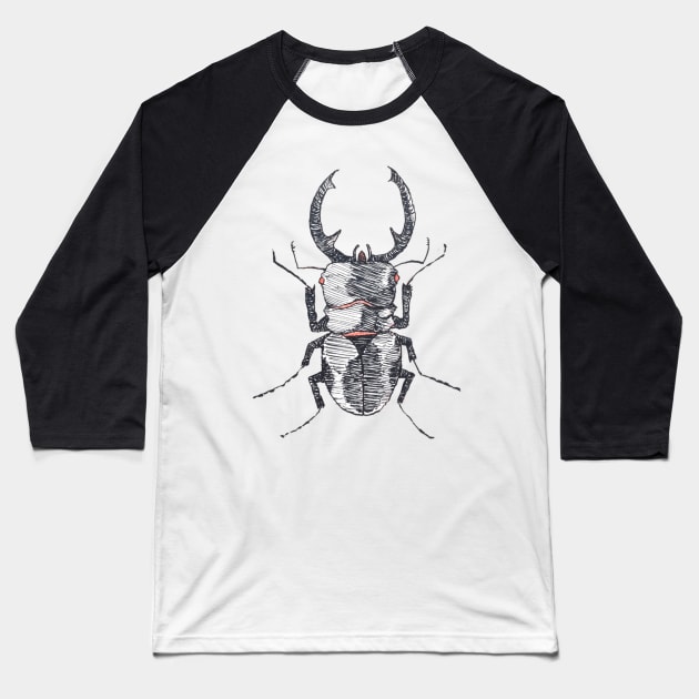 Stag Beetle Baseball T-Shirt by teufelberg